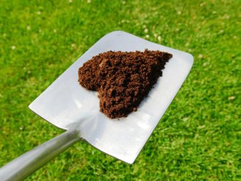 Фото с сайта Pesokplus.ru Фото с сайта Pesokplus.ru