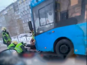 Фото: «Жесть Поморья». Фото: «Жесть Поморья».