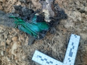 Фото: СУ СК РФ по Архангельской области и НАО. Фото: СУ СК РФ по Архангельской области и НАО.