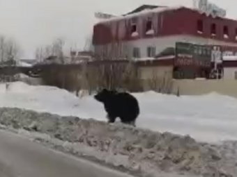 Фото из соцсетей. Фото из соцсетей.