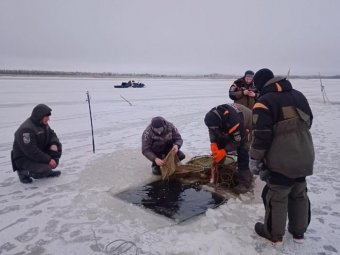 Фото: пресс-служба национального парка «Кенозерский». Фото: пресс-служба национального парка «Кенозерский».