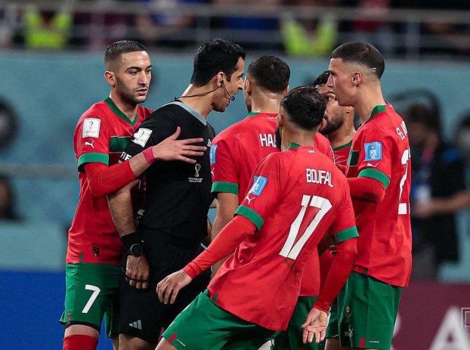 Атласские львы атакуют судью