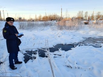 Фото пресс-службы областной прокуратуры. 