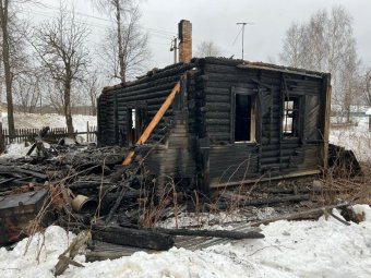 Фото: СУ СК РФ по Архангельской области и НАО.